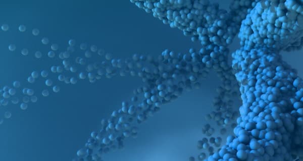 DNA visual