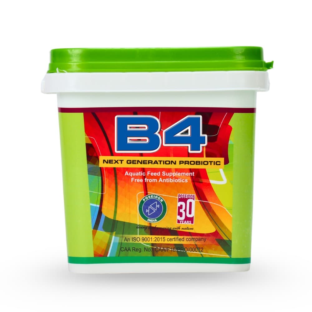 B4 — CAA Certificate
