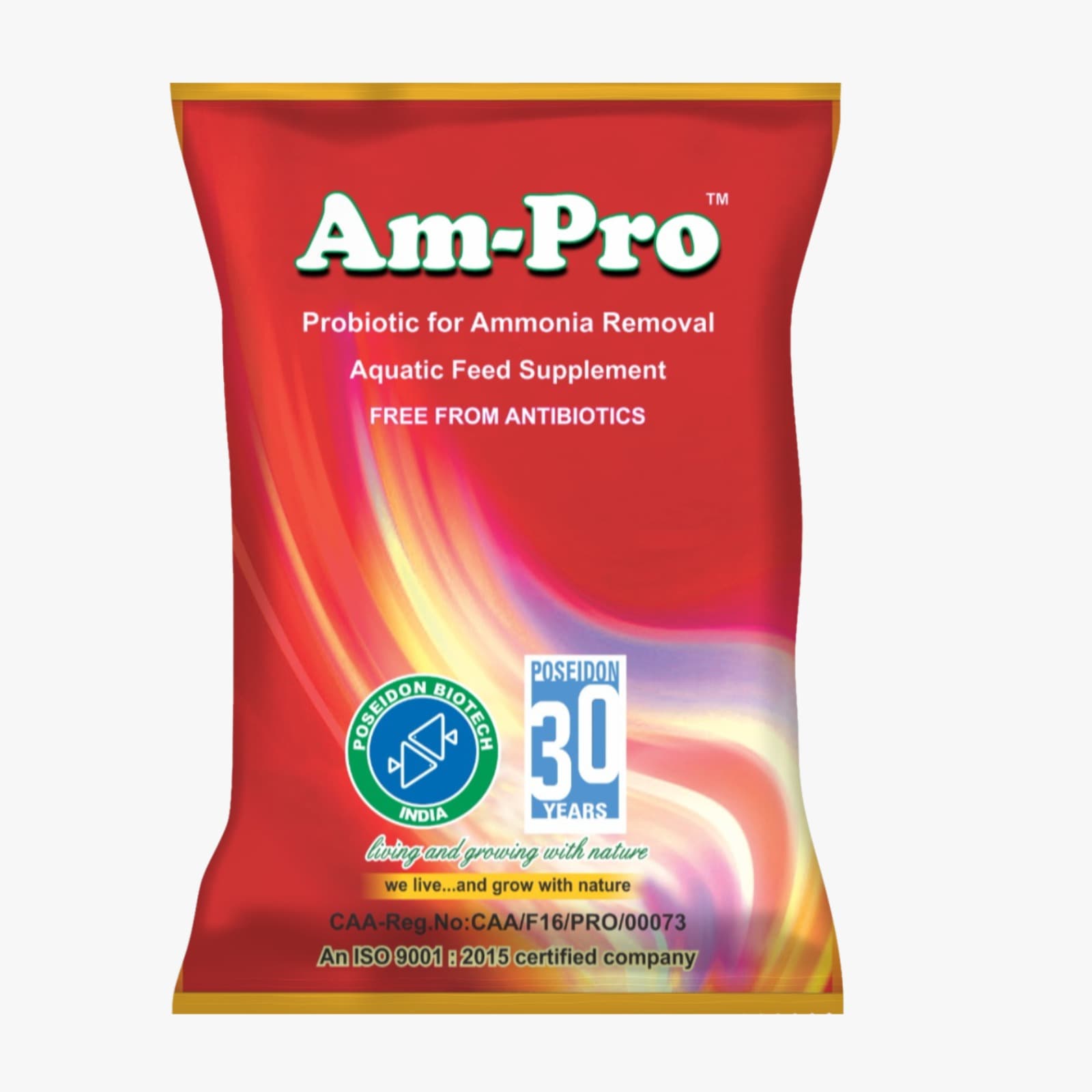 Am-Pro — CAA Certificate
