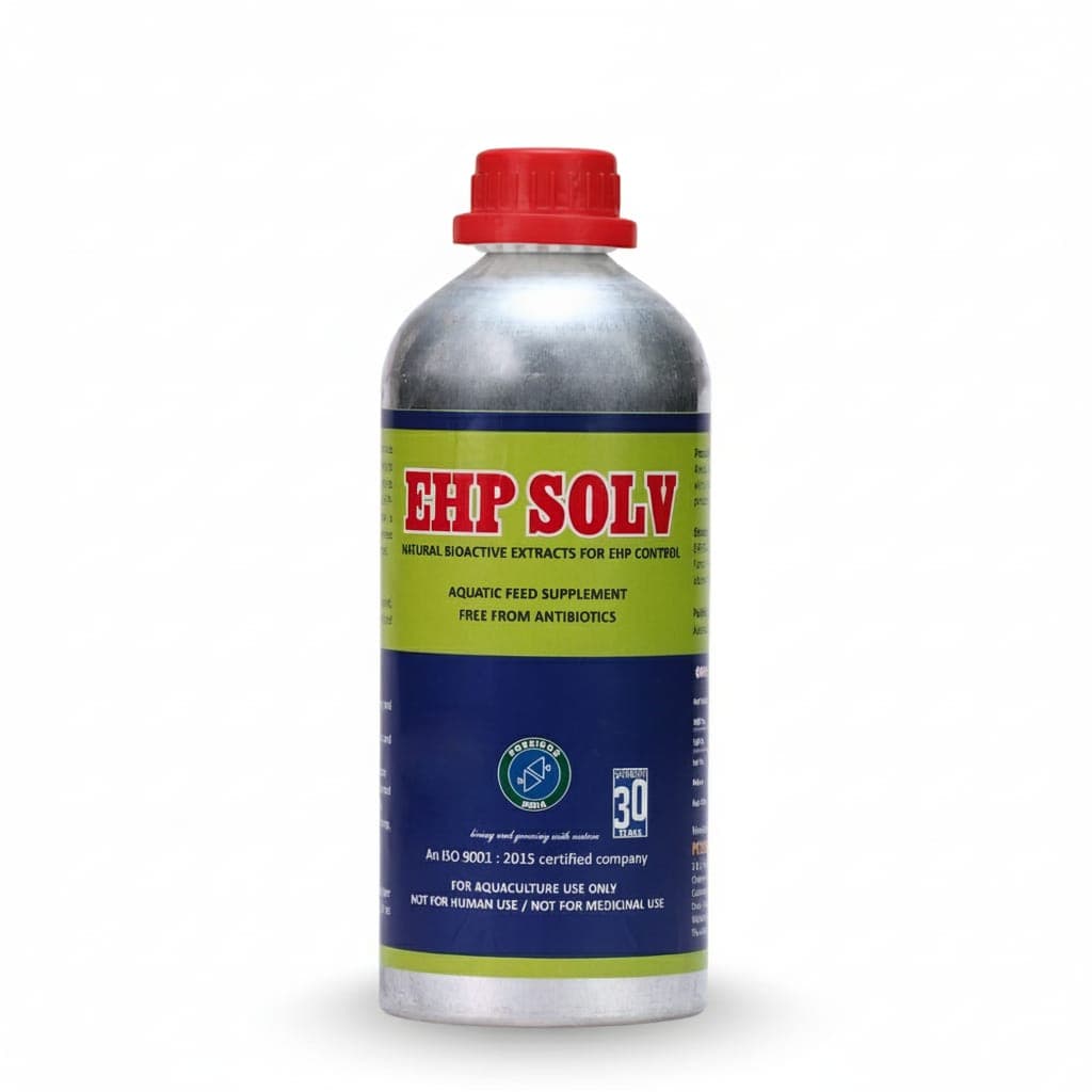 EHP SOLV — CAA Certificate