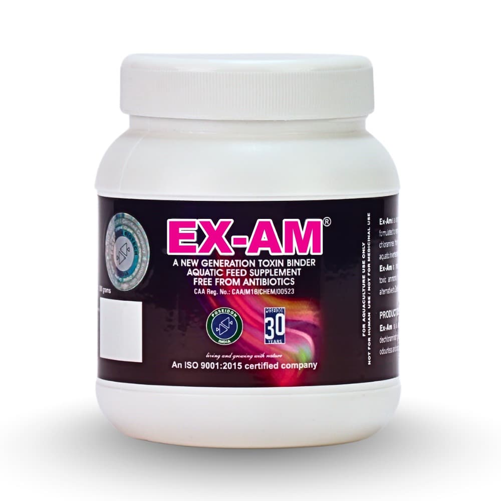 Exam — CAA Certificate