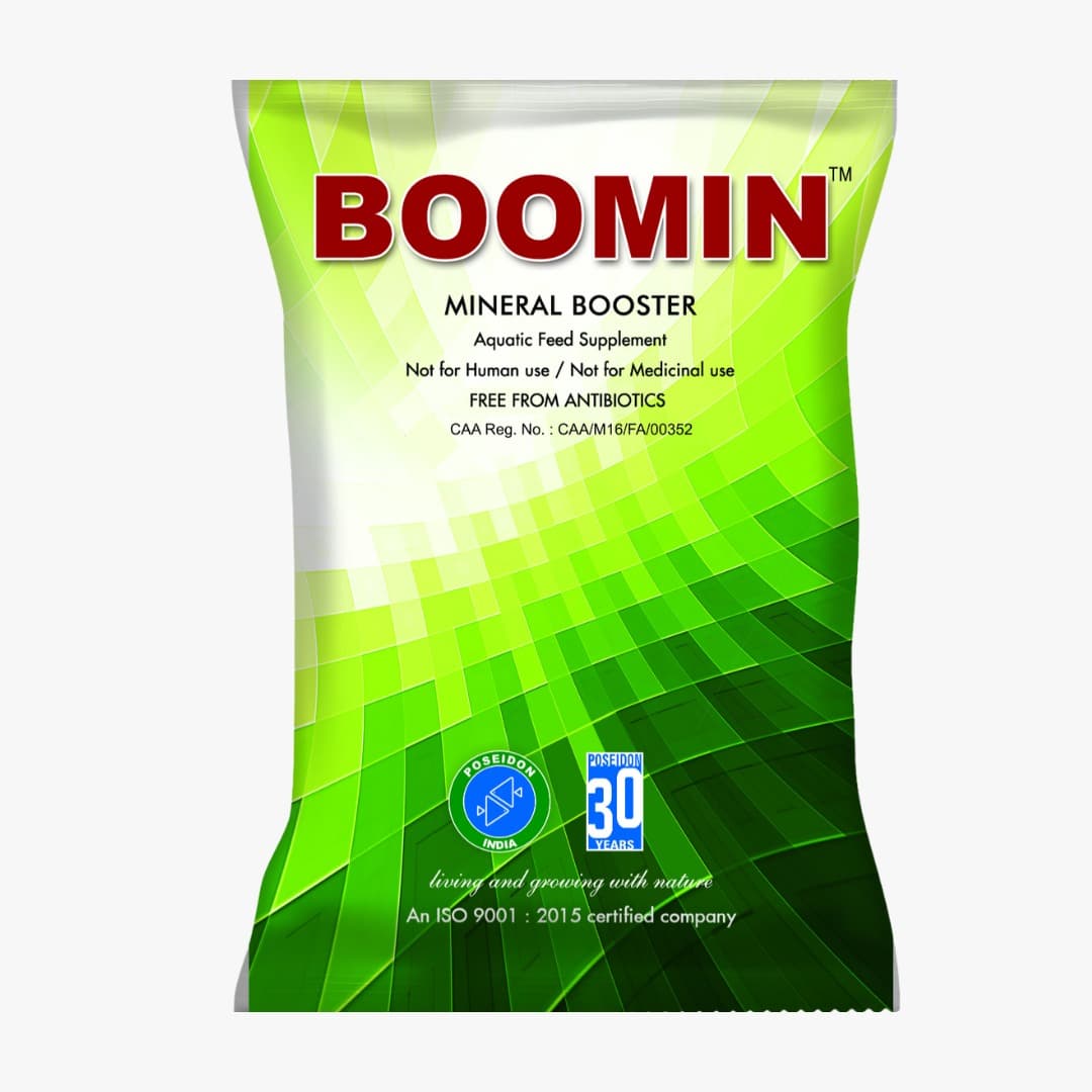 Boomin — CAA Certificate
