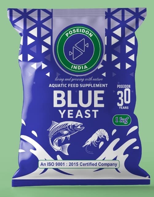 Blue Yeast — CAA Certificate