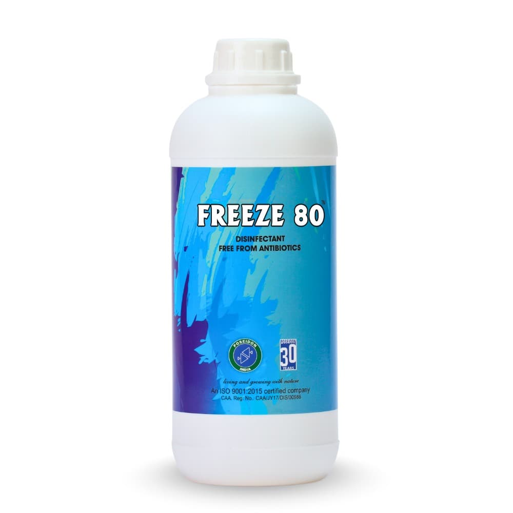 Freeze 80 — CAA Certificate